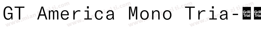 GT America Mono Tria字体转换